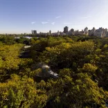 Spacebuster NYC Central Park