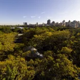 Spacebuster NYC Central Park