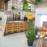 Pop into Berlin Hamburg