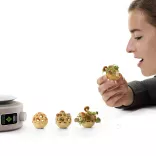 Ausstellung Food Revolution 5.0 | Gestaltung für die Gesellschaft von Morgen Kunstgewerbemuseum Ausstellung Food Revolution 5.0 | Gestaltung für die Gesellschaft von Morgen Kunstgewerbemuseum