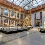 Museum für Naturkunde