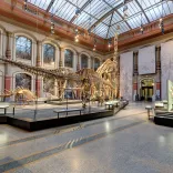 Museum für Naturkunde