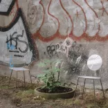 Climate chairs_c_Gonzalez Haase AAS