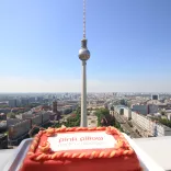 pink-pillow-Torte Park Inn Hotel pink-pillow-Torte Park Inn Hotel