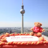 pink-pillow-Torte Park Inn Hotel