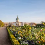 Park Schloss Charlottenburg im Frühling