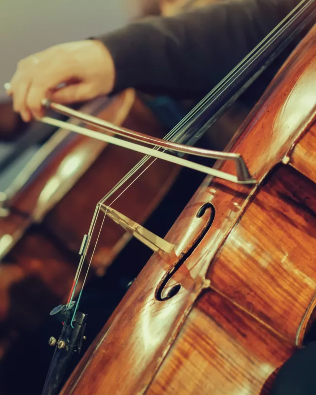 Cello Spieler eines Orchesters auf einem klassischen Konzert.