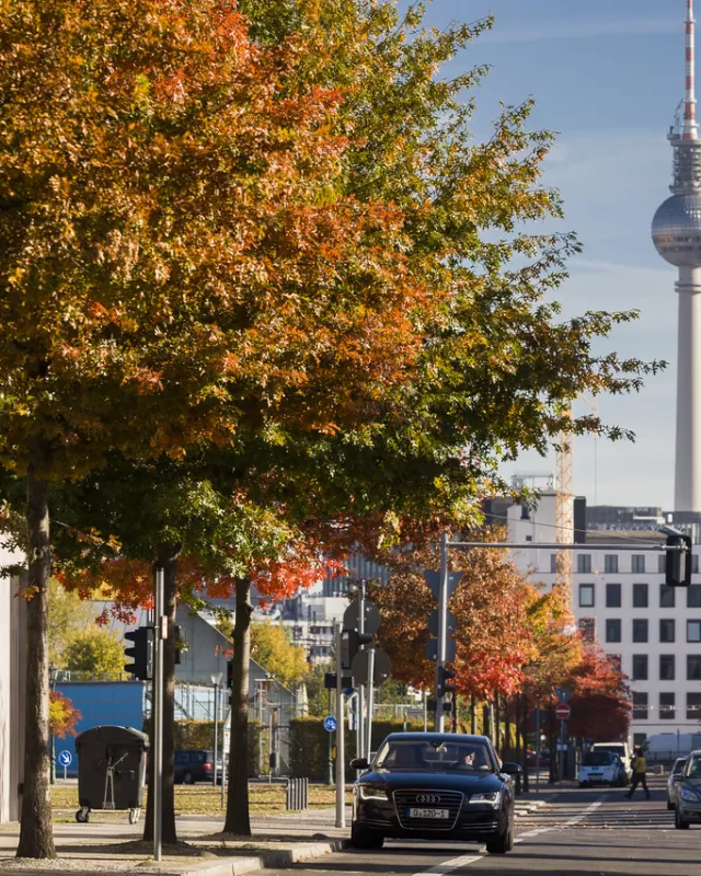 Berlin-Mitte im Herbst