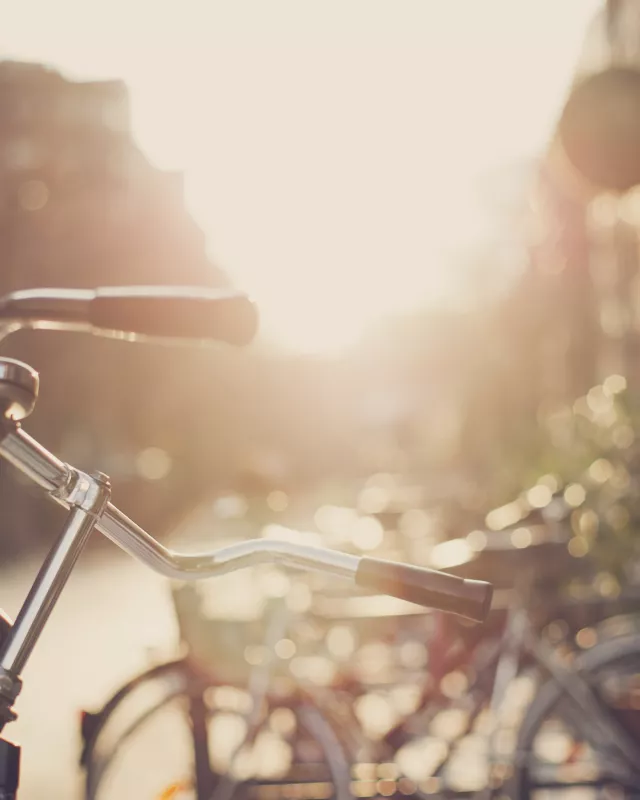 iStock.com/PPAMPicture