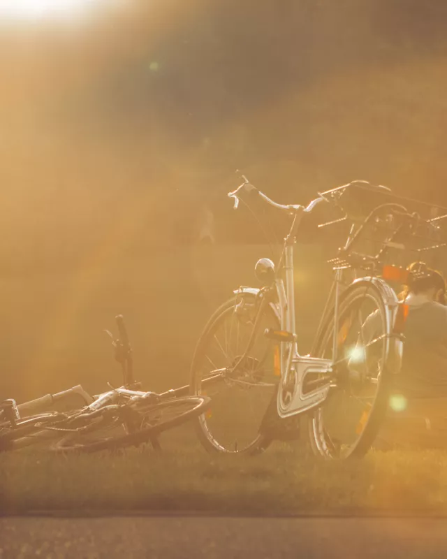 Stellschrauben für mehr Nachhaltigkeit im Berlin-Tourismus – ein Überblick