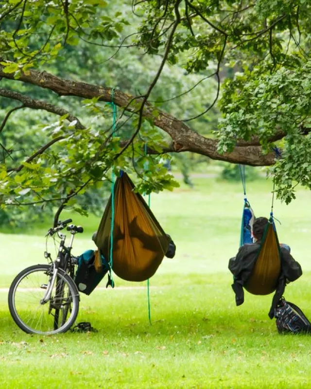 Handlungsoptionen für mehr Nachhaltigkeit im Berlin-Tourismus: Die ökologische Dimension.
