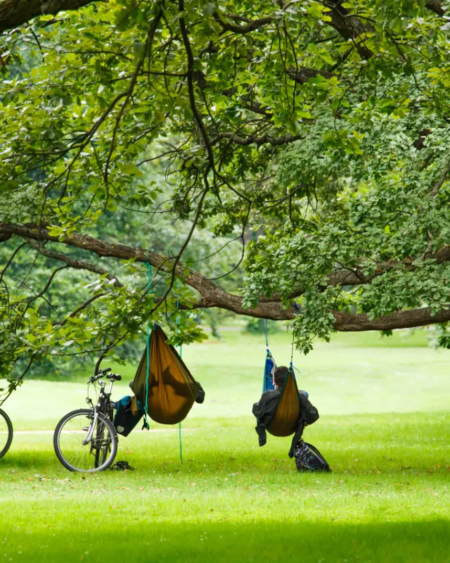 Nachhaltigkeit: Workshops & Veranstaltungen