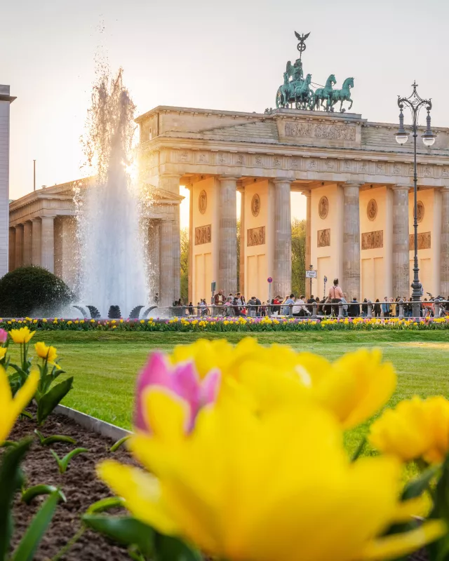 Erlebe deine Attraktion