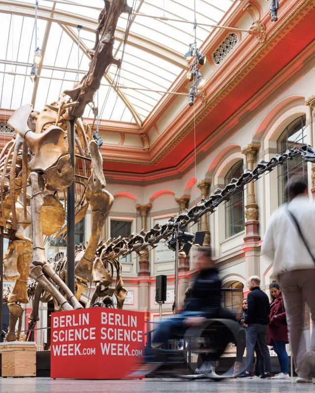  Foto:  Falling Walls Foundation