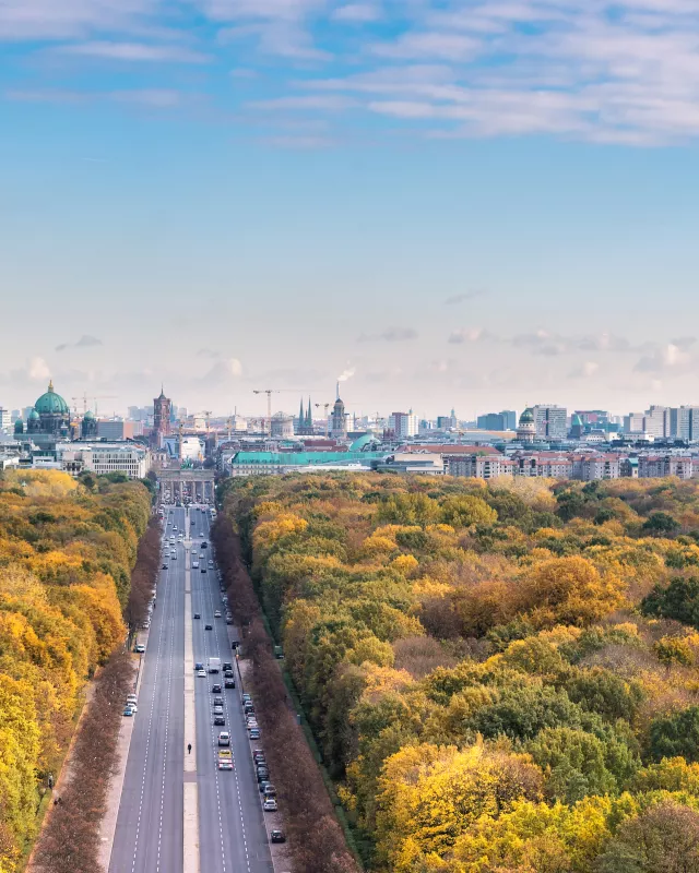 Blick auf den Tiergarten