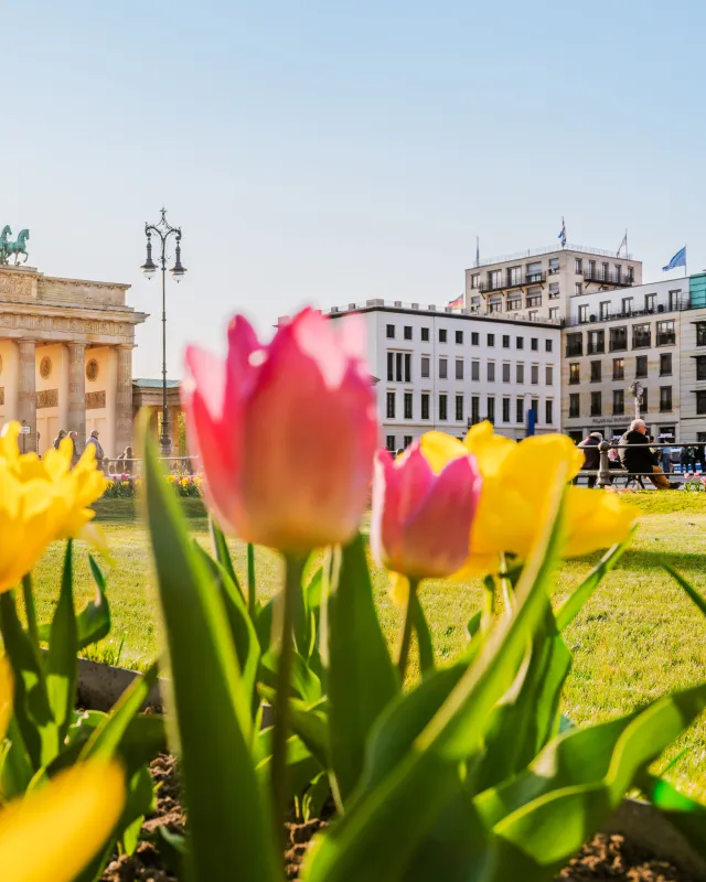 Frühling