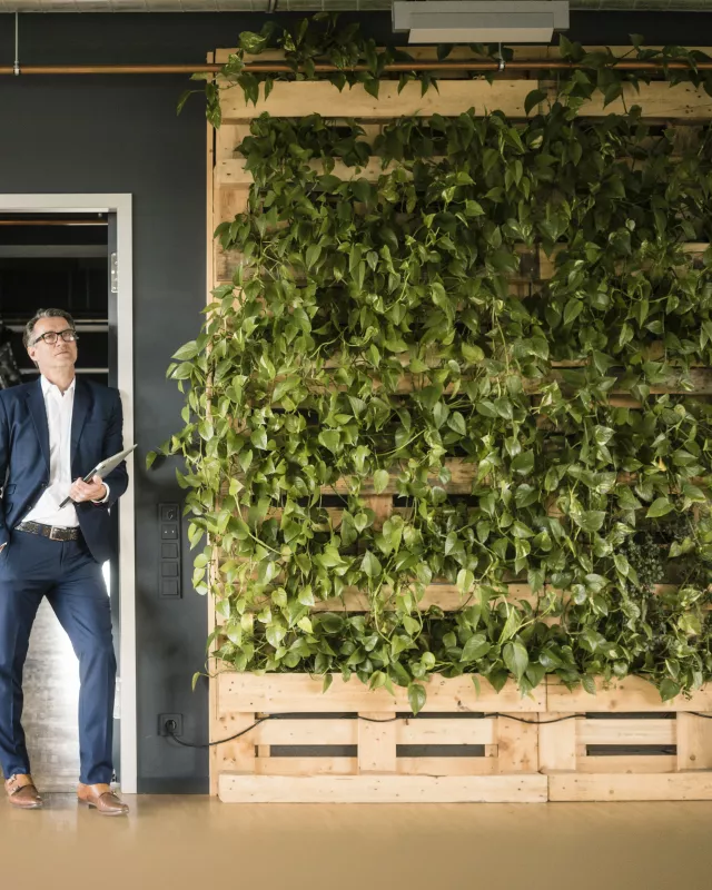 Mature businessman with laptop standing in green office