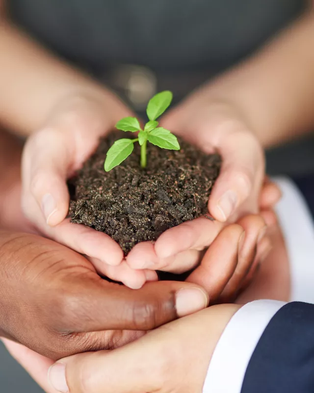 Young companies need nurturing