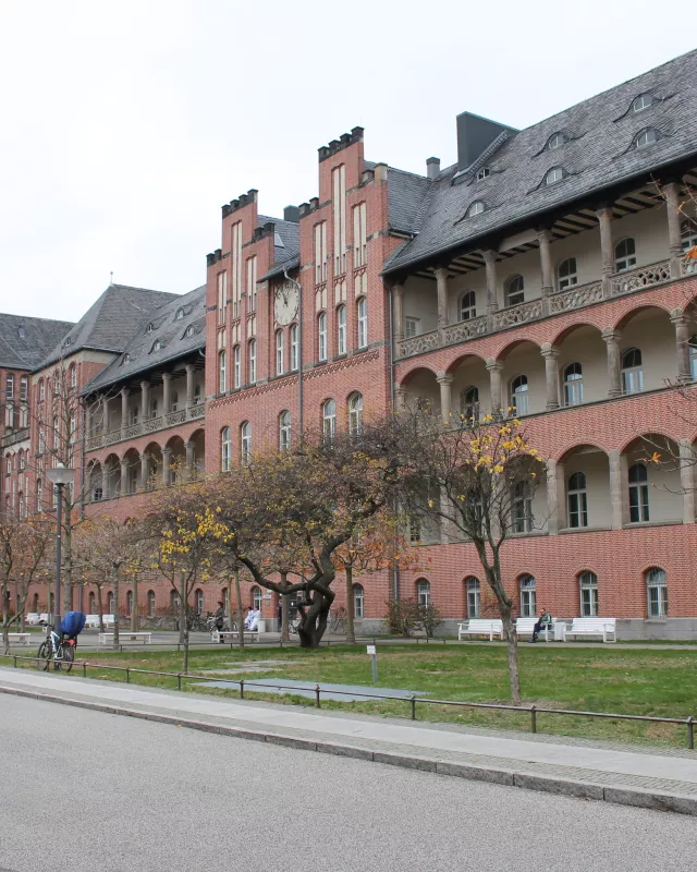 Charité – Universitätsmedizin Berlin