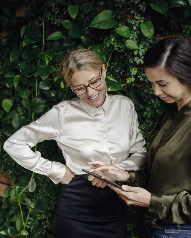 Grünes Büro Grünes Büro