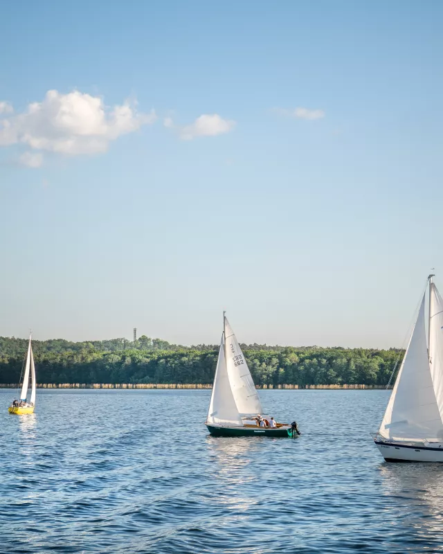 Segelboote auf dem Großen Müggelsee Segelboote auf dem Großen Müggelsee
