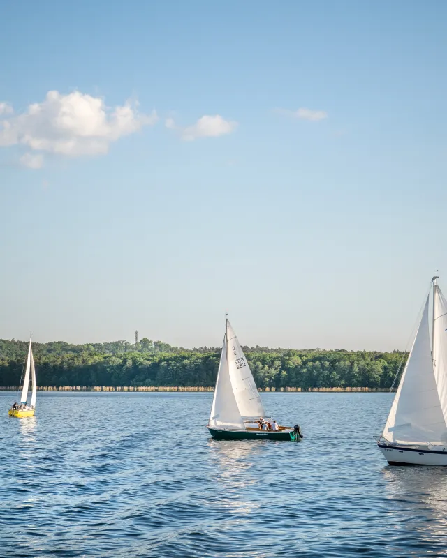 Segelboote auf dem Großen Müggelsee