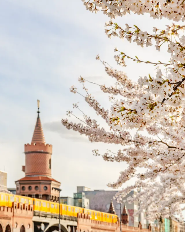 Frühling