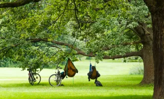 Handlungsoptionen für mehr Nachhaltigkeit im Berlin-Tourismus: Die ökologische Dimension.