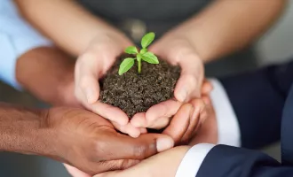 Young companies need nurturing