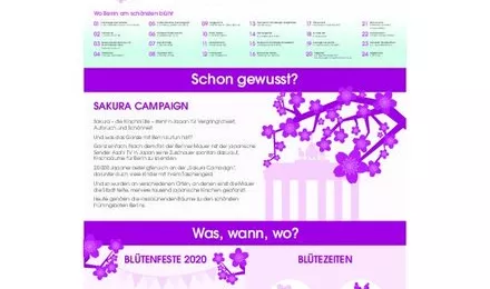 Infografik Berlin-Blossom 2020