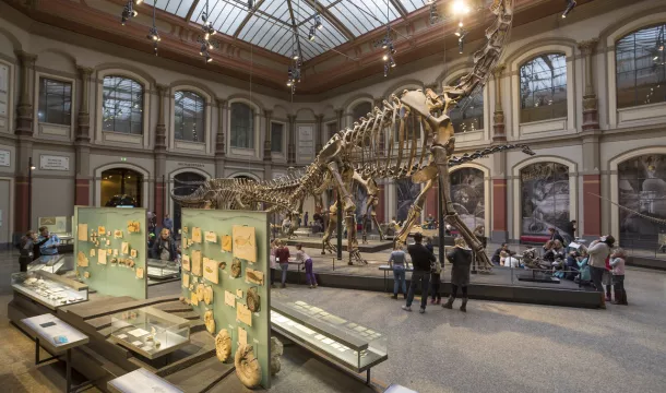 Naturkundemuseum Berlin