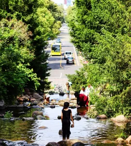 The Girl with the Rock