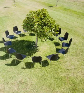 Circle of office chairs around tree in field