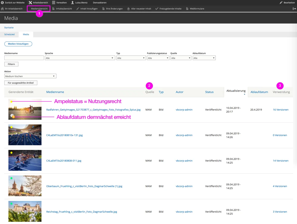 Screenshot: Drupal Backend Medienübersicht