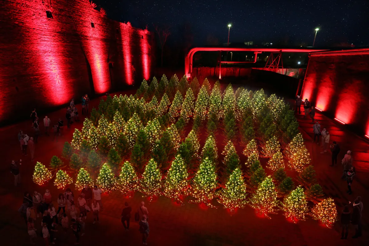 Winterlights