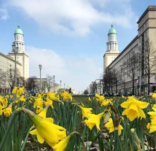 #BerlinBlossom