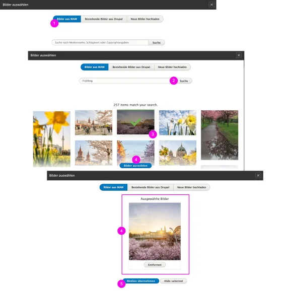 Screenshot Drupal Backend MAM Widget
