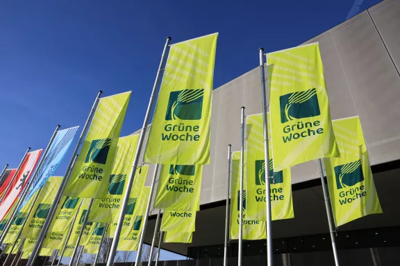 Beflaggungen wie zur Grünen Woche würdigen Großveranstaltungen - sie sorgen für Sichtbarkeit und eine stimmungsvolle Atmosphäre Grüne Woche