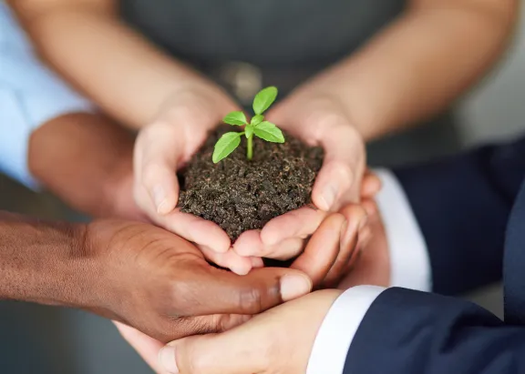 Young companies need nurturing