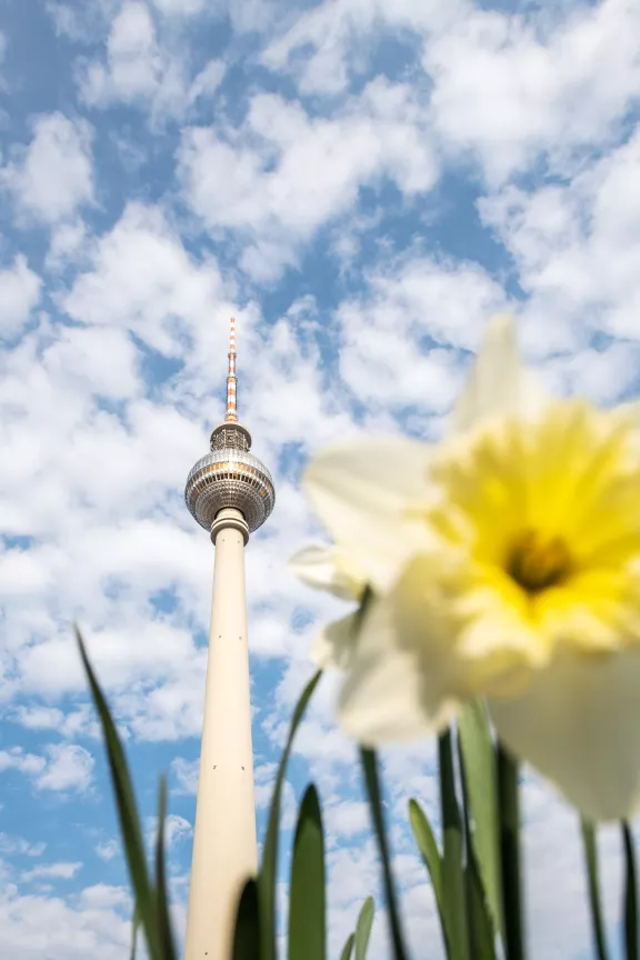 Berliner Fernsehturm im Frühling