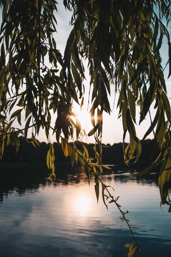 Sonnenuntergang am Orankesee
