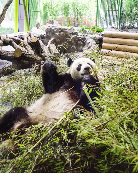 Zoo Berlin